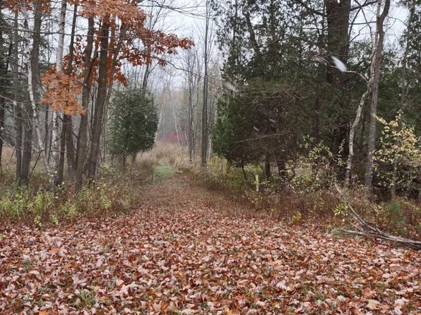 2395 Eleven Mile Rd, Remus, MI 49340