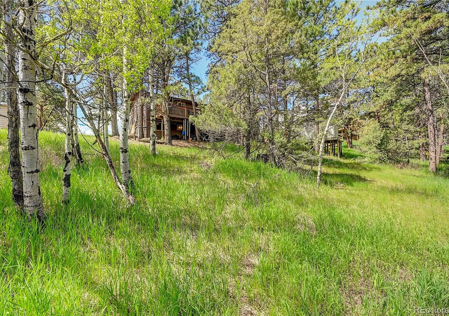 12 minutes from downtown Bailey on a large wooded, private lot — Photo 3