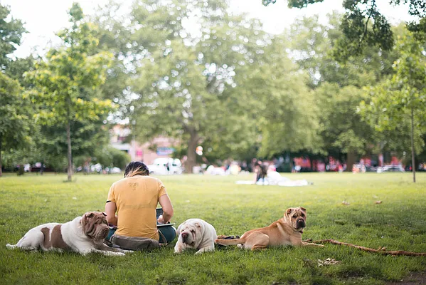 Rented by Compass | media 20