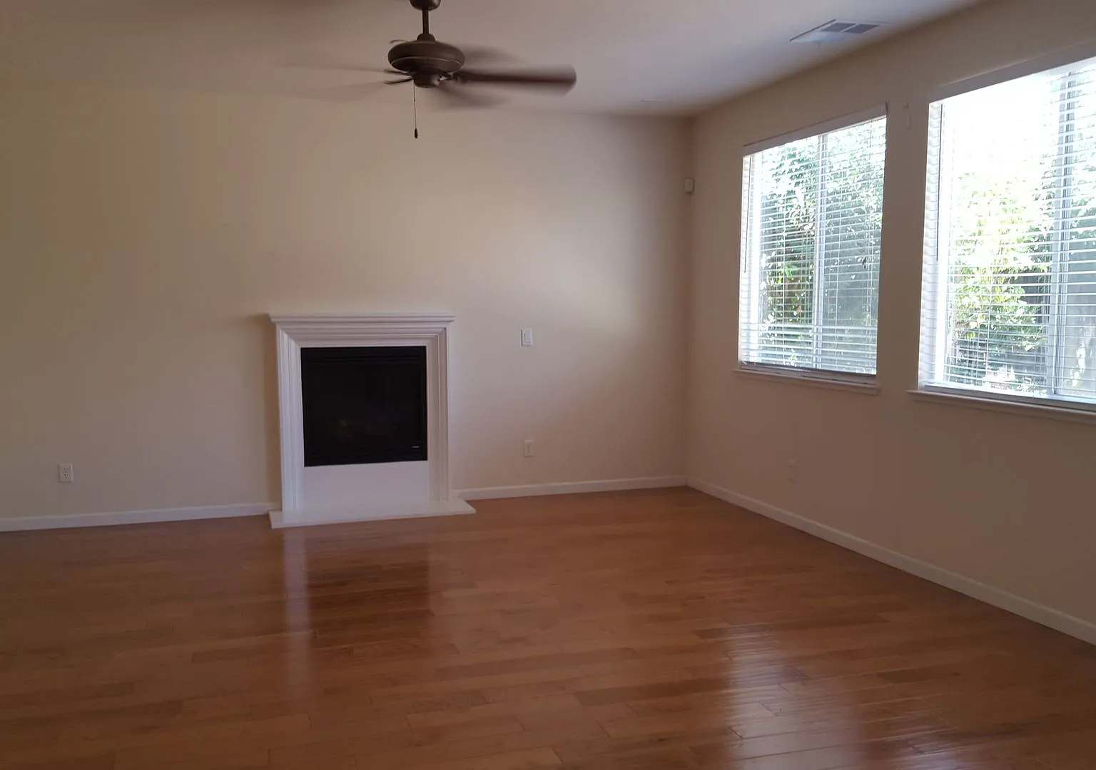 Beautiful 4 Bedroom 3 Bath Home in Desirable Woodland Neighborhood — Photo 4