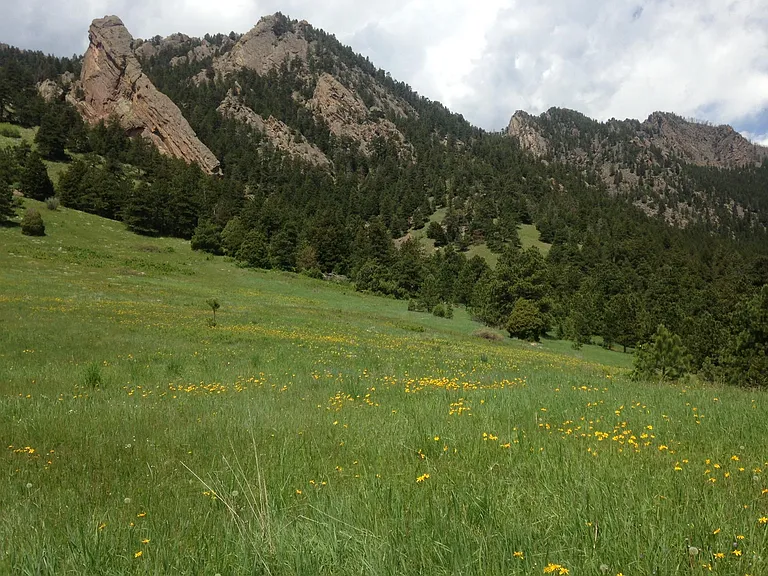 Open space