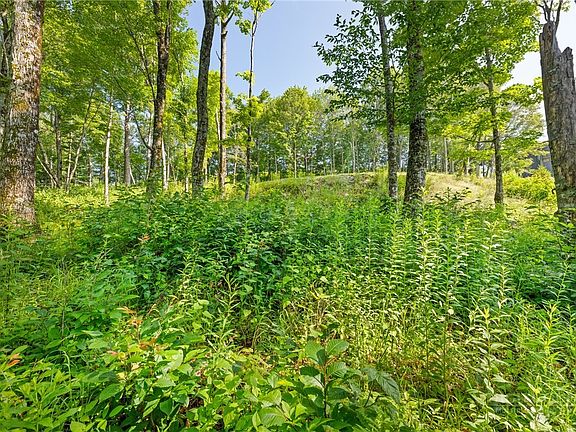 2nd image of Lot 39 Skycamp Trail