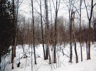 1966 N 99 Ave, Hart, MI 49420