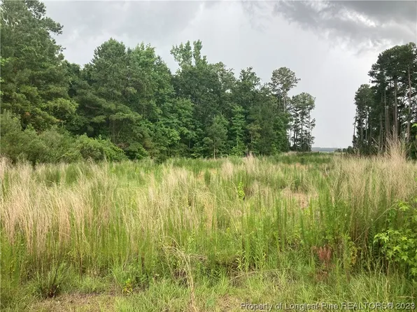 1 Hollandtown Rd, Salemburg, NC 28385