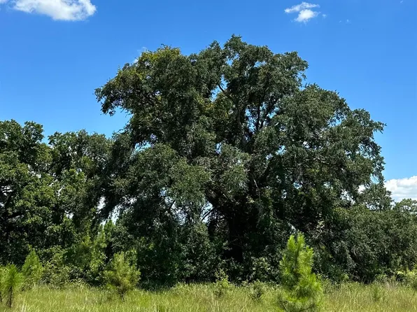 0 Hampton Ridge Ct Lot 48, Mobile, AL 36608