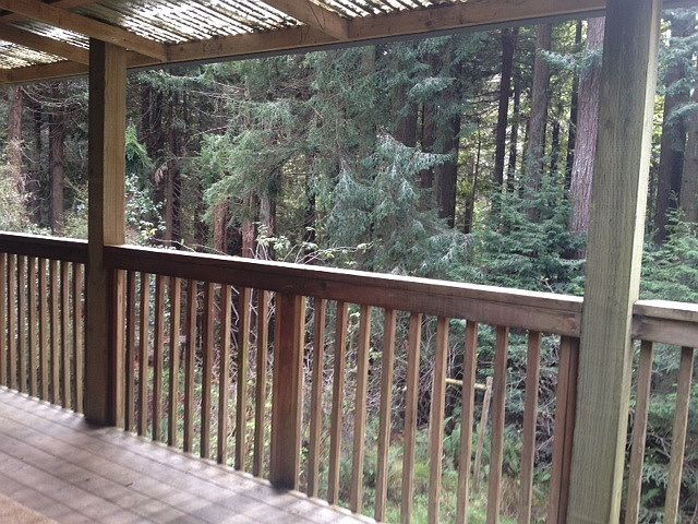 Deck View