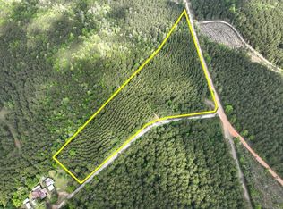 1 County Road 4300, Woodville, TX 75979