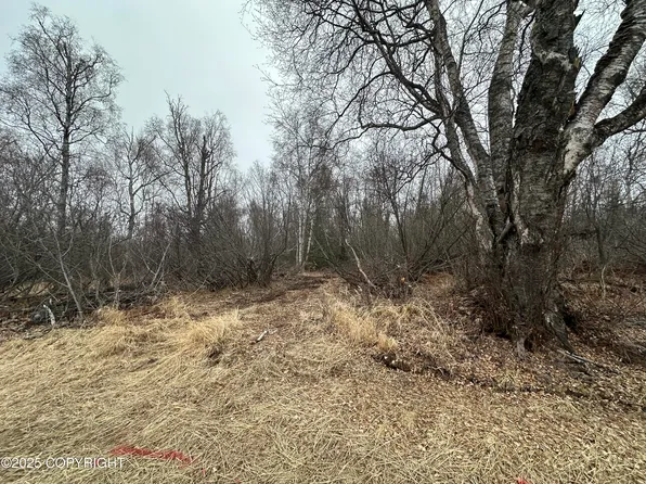 L2 B Asa Hls #1, Wasilla, AK 99654