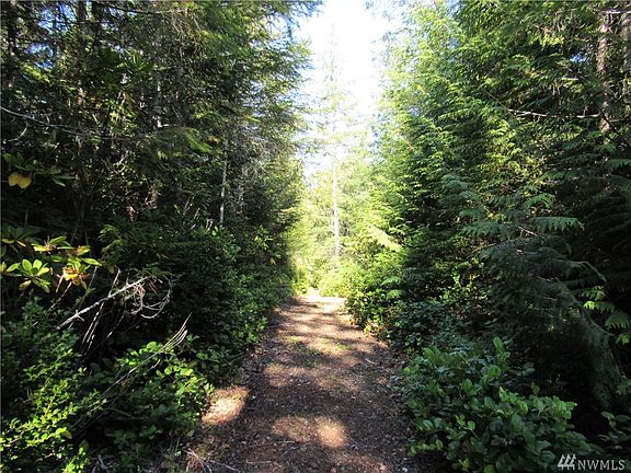 5th image of 19 .5 Acres W Ludvick Lake Dr