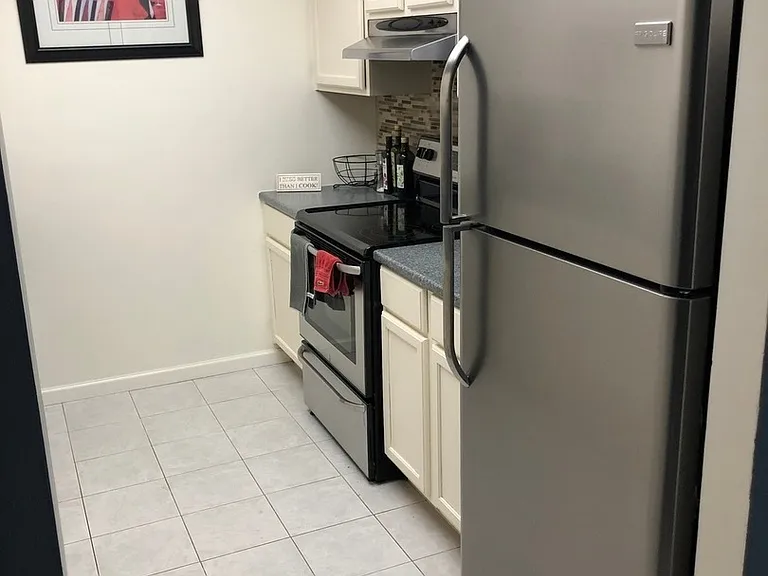 680 N Lake Shore Dr #1509 — Photo 7