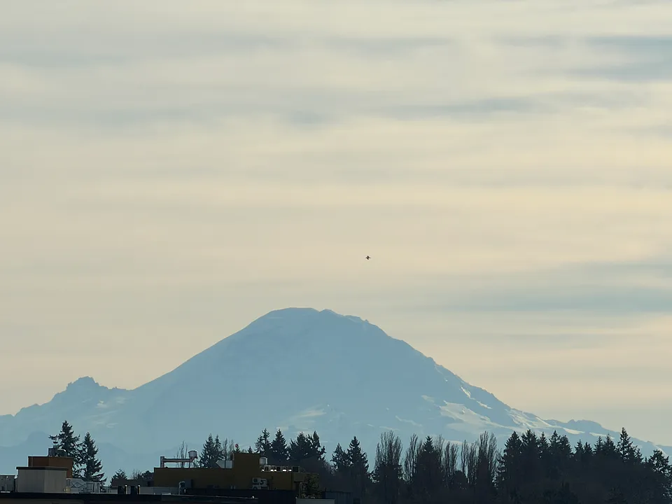 View of Mt. Rainier from Rooftop Deck