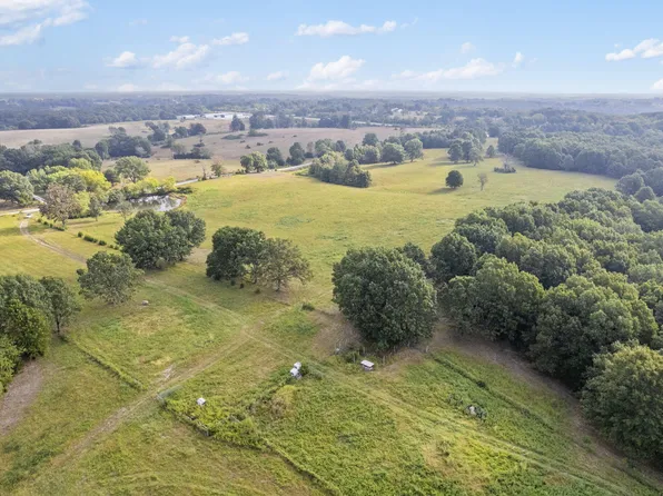 808 Coon Ridge Road, Galena, MO 65656