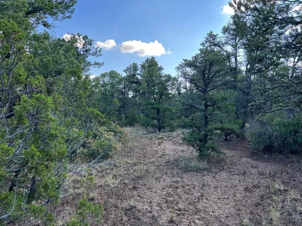 LOT McComb Rd #R, Edgewood, NM 87015