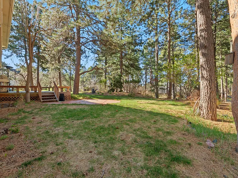19850 Indian Summer Ln — Photo 41