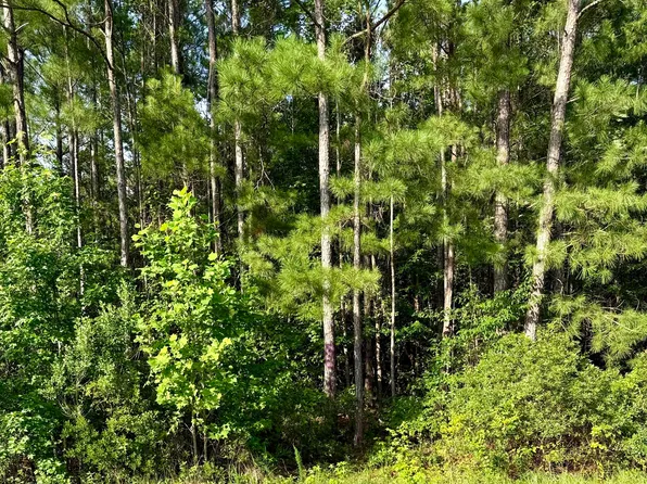 111 Marie Court, Havelock, NC 28532