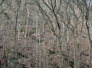 Tbd Hayters Gap Rd, Abingdon, VA 24210