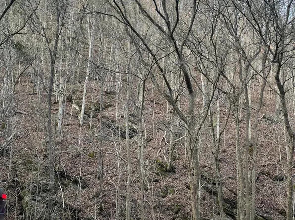 Tbd Hayters Gap Rd, Abingdon, VA 24210