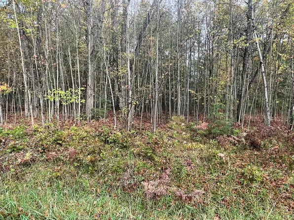 LOT 32 Hidden Hills Rd, Houghton Lake, MI 48629