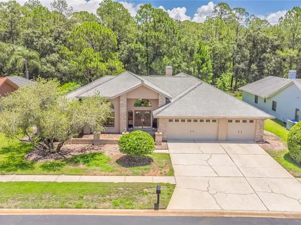3792 Windber Blvd, Palm Harbor, FL 34685