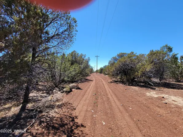 County Road 3113, Vernon, AZ 85940