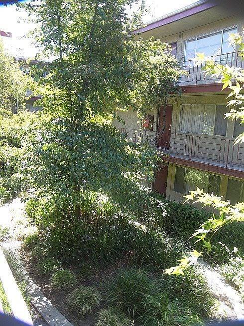 1st image of 434 E 17th St APT 309