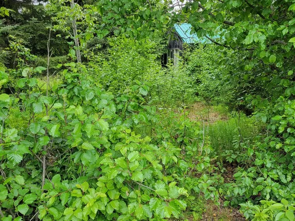 35150 N Fork Rd, Anchor Point, AK 99556