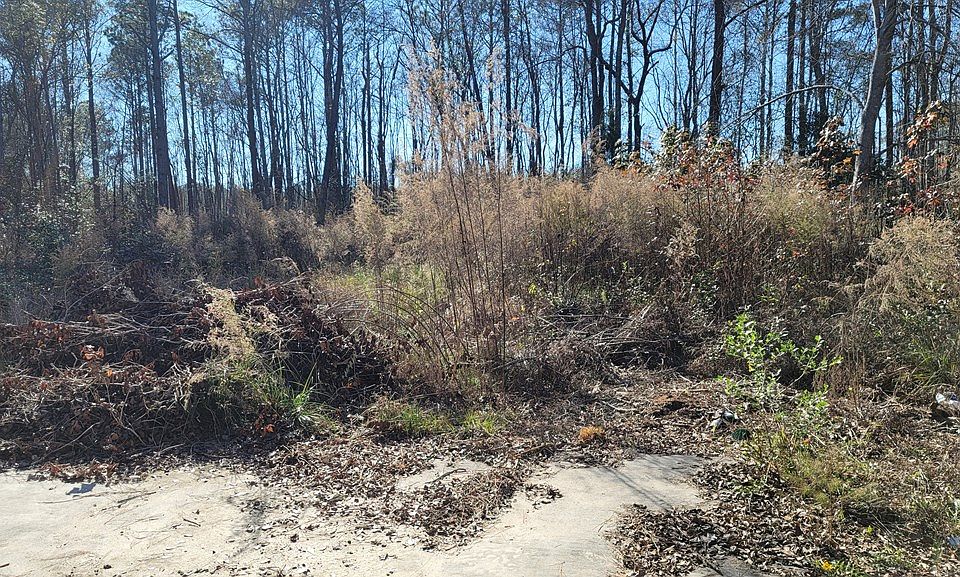 1517 Barrett Cemetery Rd NE Ludowici GA 31316 Apartments For Rent 