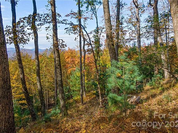 3rd image of 9 Deer Grass Ct