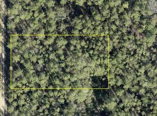 10620 DELGADO AVENUE, HASTINGS, FL 32145