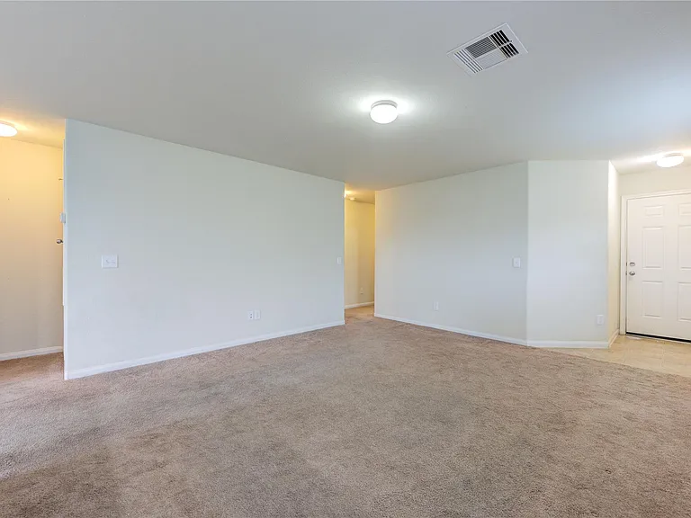 1315 Pease River Ln — Photo 8