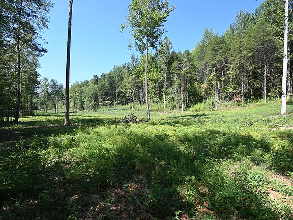 3rd image of 1826 Swindle Creek Rd Lot 2