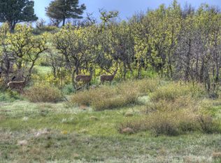 21 Raspberry Mountain Rnch, La Veta, CO 81055