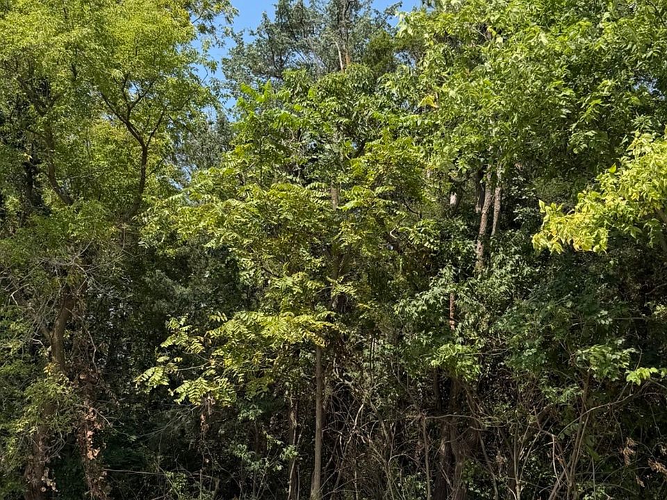1st image of 0 W Bauer Rd