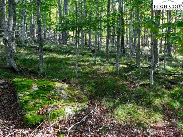 123 Briarwood Lane, Beech Mountain, NC 28604