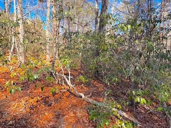 0 Horse Cove Ct, Jasper, GA 30143