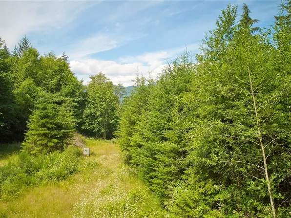 591 Casera Drive, Quilcene, WA 98376