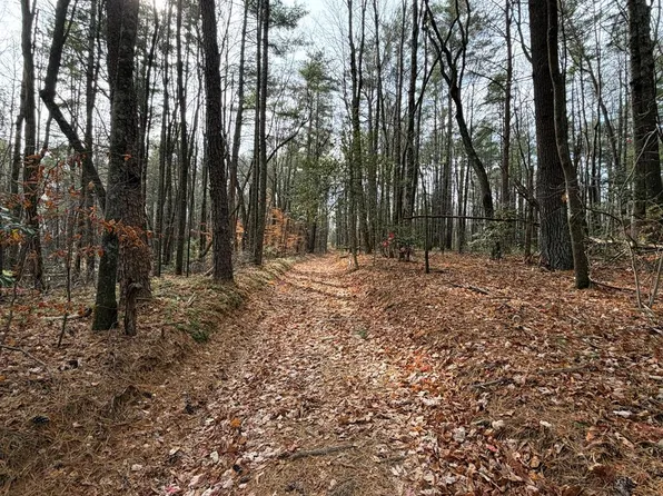 Caution Tape Rd, Cana, VA 24317