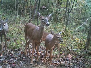 0 Kanasita Dr #1, Pell City, AL 35128