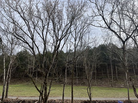 2nd image of 0 Stonewall Hwy Lot 5 & 6