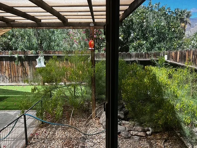 603 Verbena Dr — Photo 18