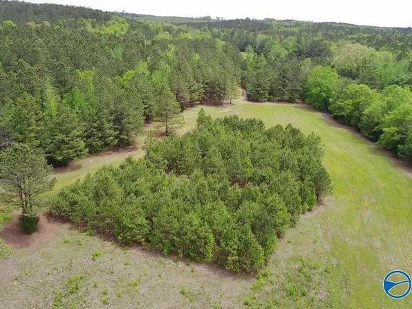 265 County Highway 23, Detroit, AL 35552