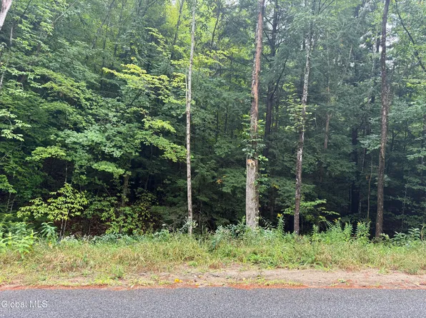 00.00 Parker Cross Road, Thurman, NY 12885