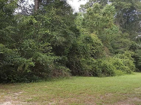3rd image of 8373 Caminitti Ln