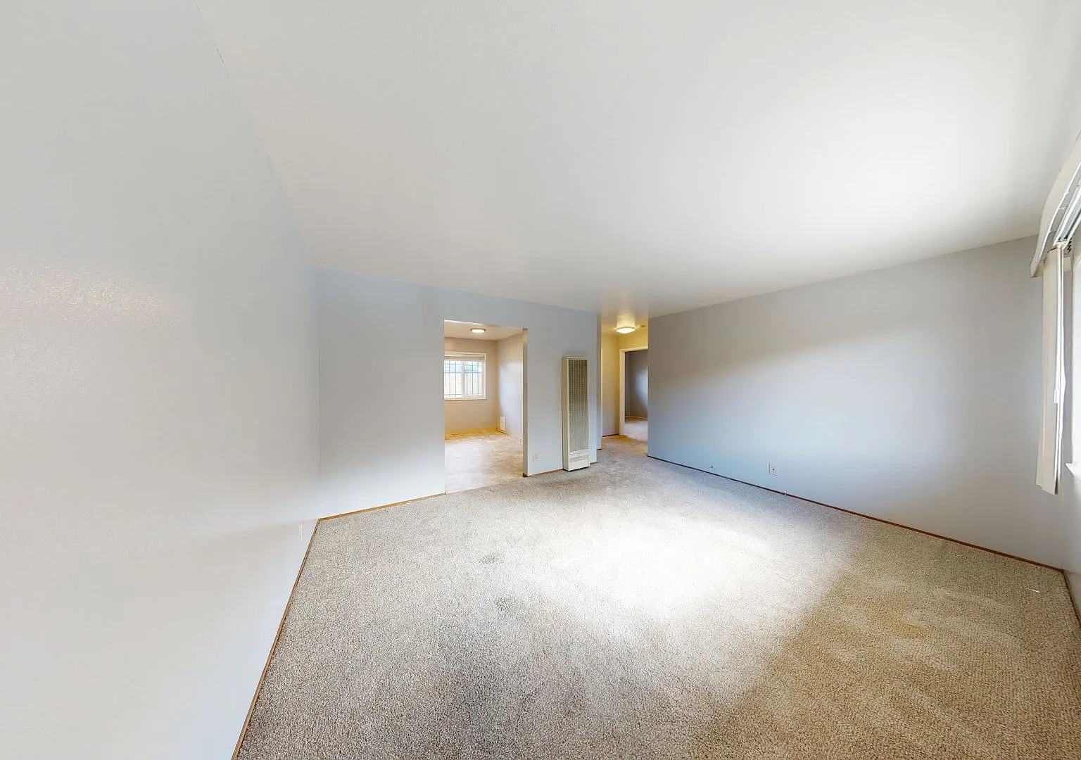 Spacious & Comfortable Apartments in North Oakland! — Photo 4