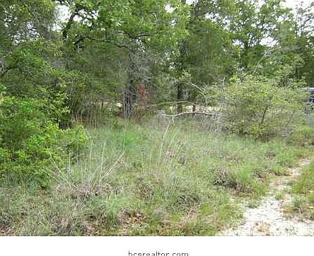 1st image of 0 Cedar Dr