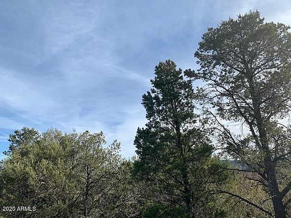 2nd image of 3032 Eagles Haven Cir Lot 464