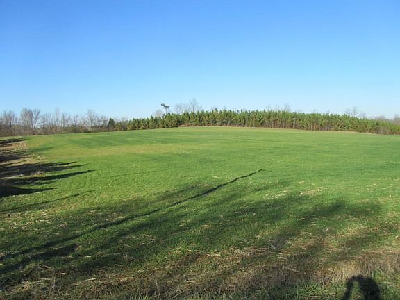 4th image of 101 County Road 459