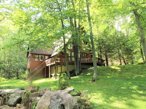 91 Dogwood Ln, Terra Alta, WV 26764