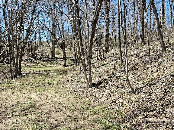 2nd image of 0 Big Ridge Rd