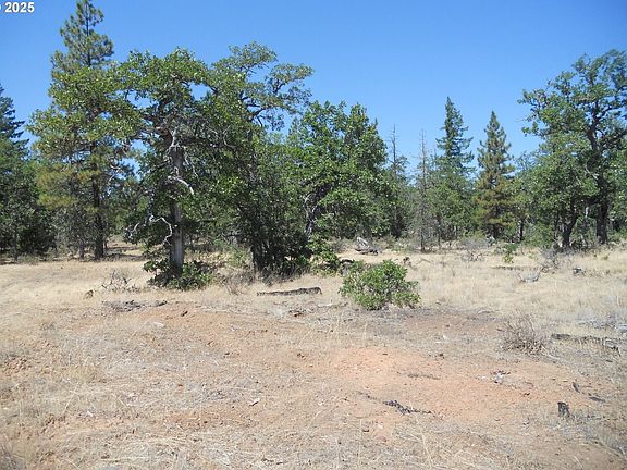 3rd image of 0 Highway 97